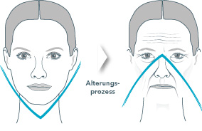 Alterungsprozess