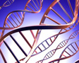 Anti-Aging-Gene