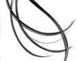 Haarausfall&nbsp;bek�mpfen - Stammzellen lassen Haare wachsen