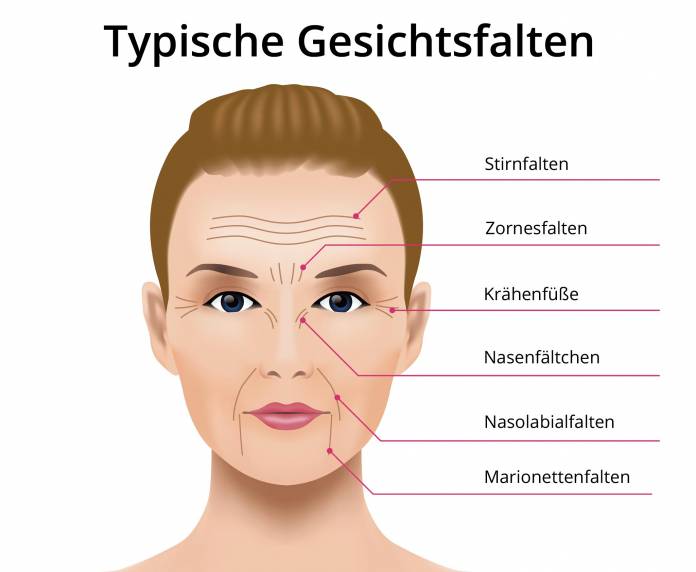 Gesichtsfalten